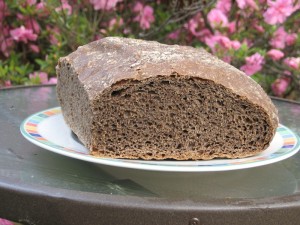 The crumb texture of my pumpernickel no-knead loaf.